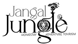 jangaljungle